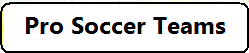 MsEllen Sports - Pro Soccer Teams Nationwide